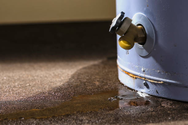 Best Fire Damage Restoration  in Kingston, TN