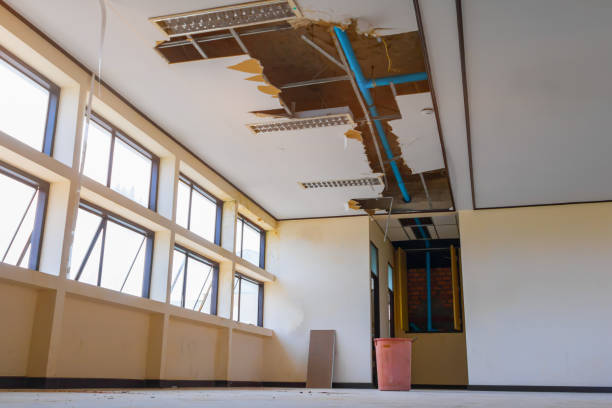 Best Residential water damage restoration  in Kingston, TN
