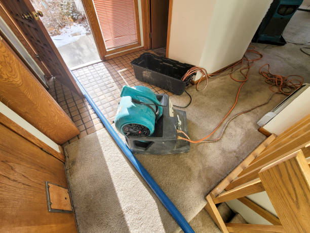 Local water damage restoration in TN