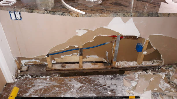 Best Mold removal after water damage  in Kingston, TN
