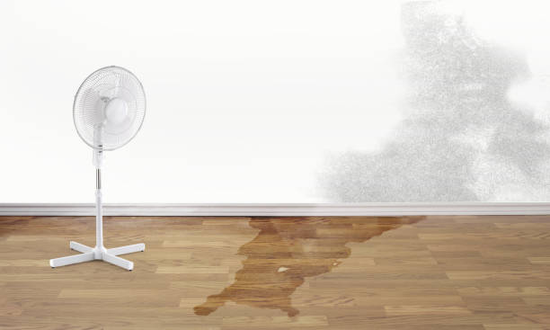 Sewage cleanup and water damage restoration in TN