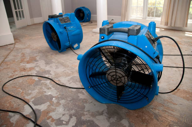 Best Carpet water damage restoration  in Kingston, TN